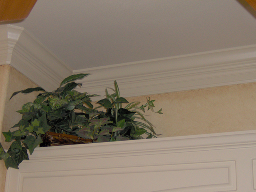 Plaster with aged faux finish details in Master Bath